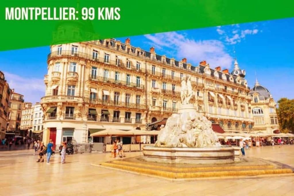 Le Noe - Ac Clim - Wi-Fi Leilighet Avignon Eksteriør bilde